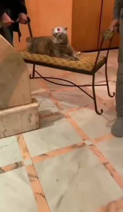 The New King