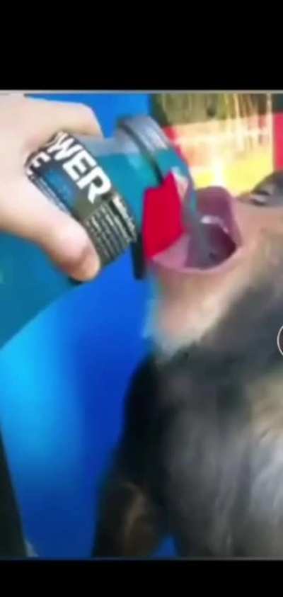 jaja monki 🦧