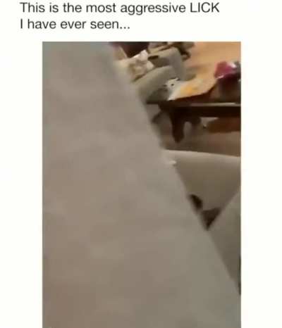 Angry chonk