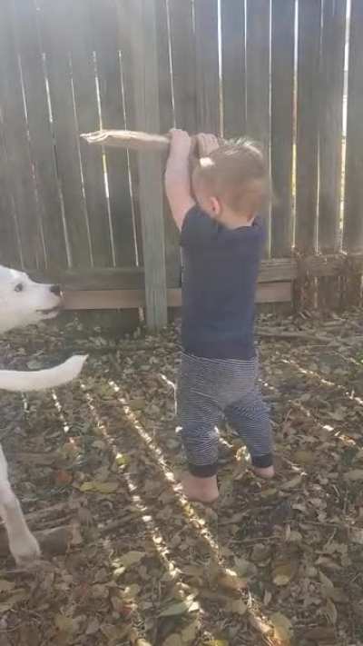 They both love sticks