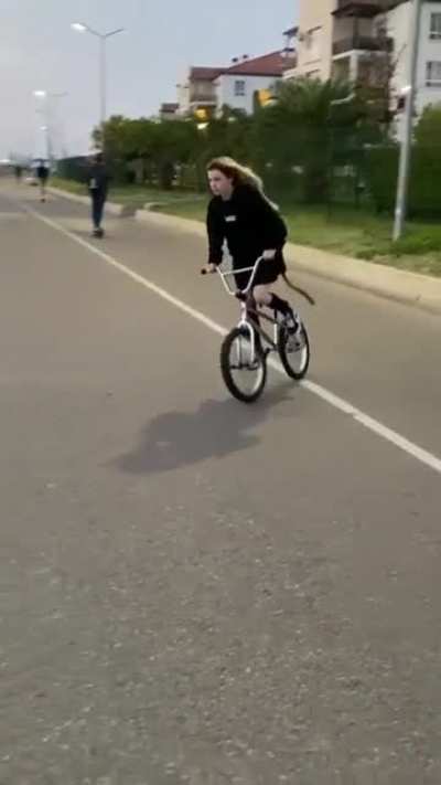 The hospital flip