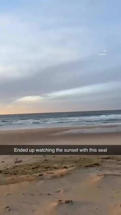 he is not lonely