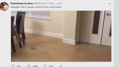 How to Defeat a Cockroach 101