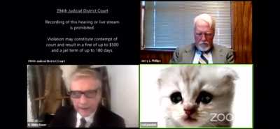 “I’m here live, I’m not a cat,” says lawyer after Zoom filter mishap