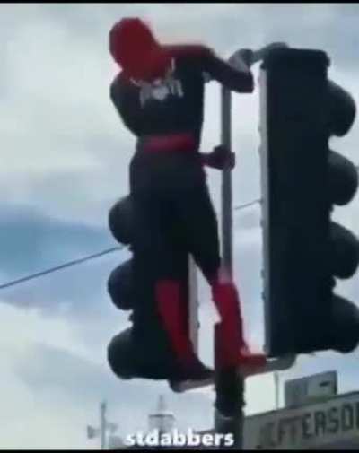 spooder