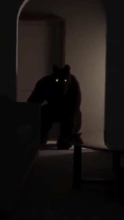 No no no no no