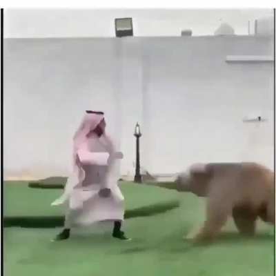 The sheikh is living a dream
