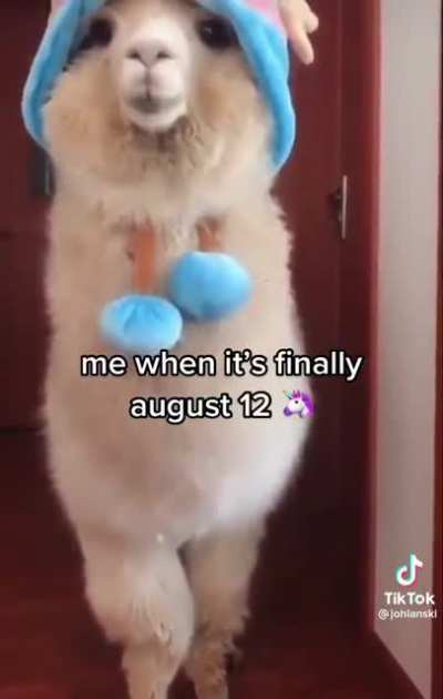 Happy August 12th everyone