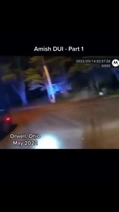 Trashy Amish