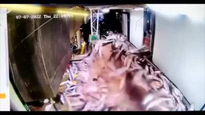 Fish run or something