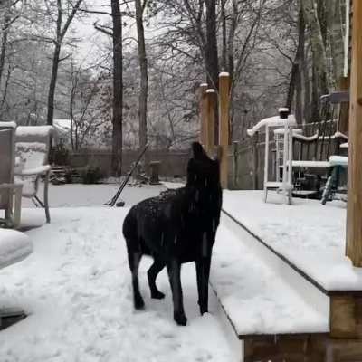 Catching Snowflakes ❄️