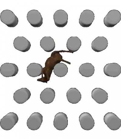 Rule