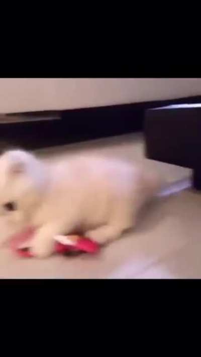 This is MINE!