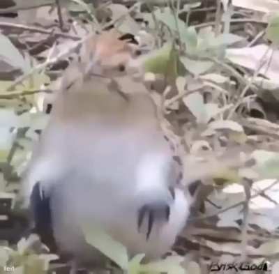 Your welcome