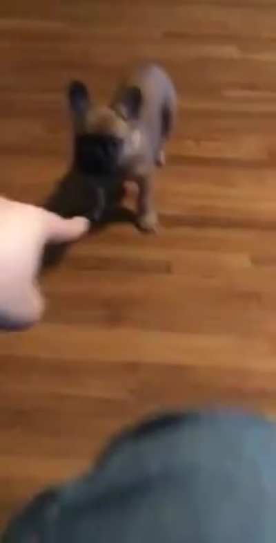 I'm not even touching you!
