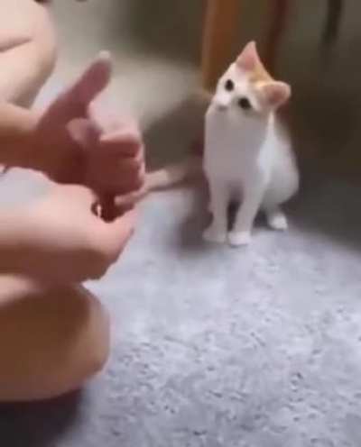 Originally from u/individual-parsnip71 on r/unexpected