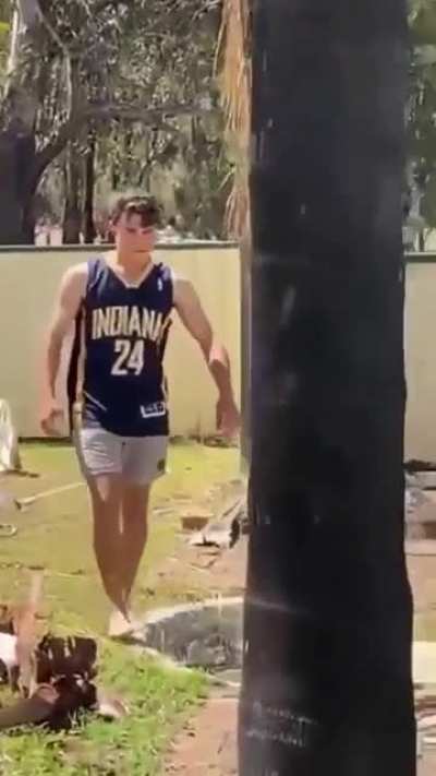 Man vs Tree