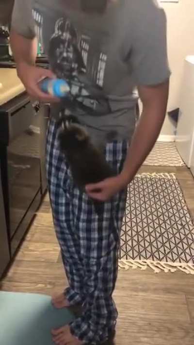 Hungry Little Guy