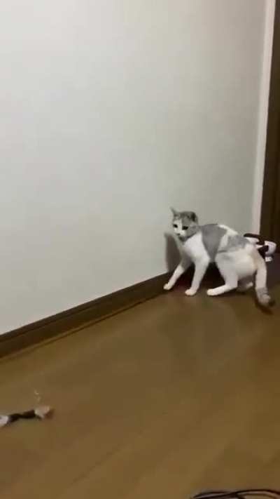 ooppsssssss