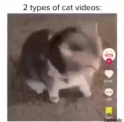 🗿