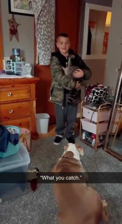 He found a new pet outside!