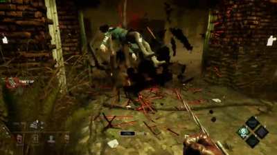 To this survivor: if your seeing this, I'm still not sorry lmao
