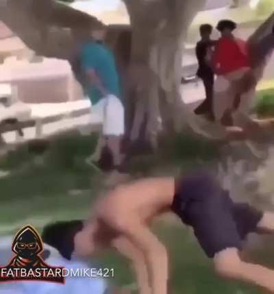 Laid em out