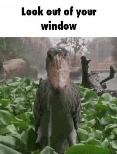 ㅤ