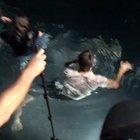 Shawn Levy & Millie taking a swim