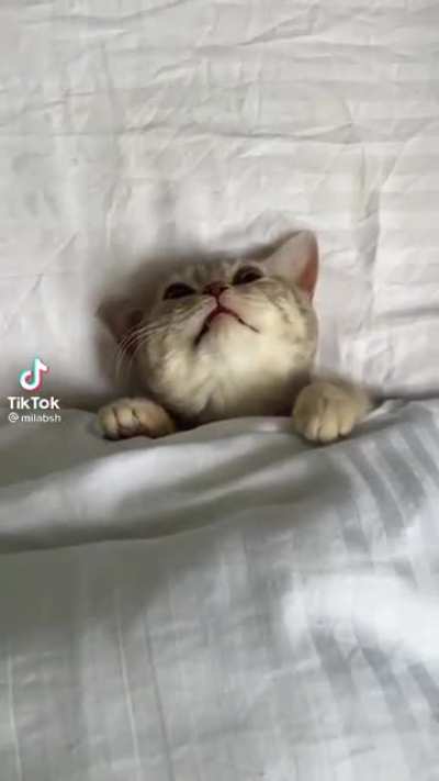 When your alarm goes off but you’re too comfy to get up