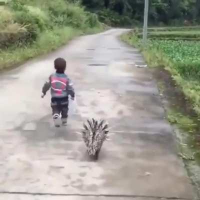 Me walking my level 50 anky back to my base on day 1