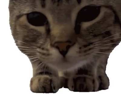 113850