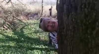 lol with trees