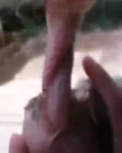 What the hell is even that?