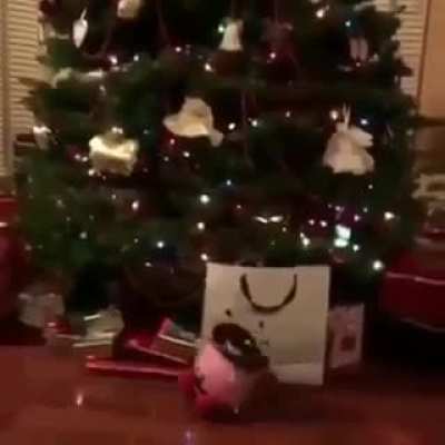 Me on the first day of December.