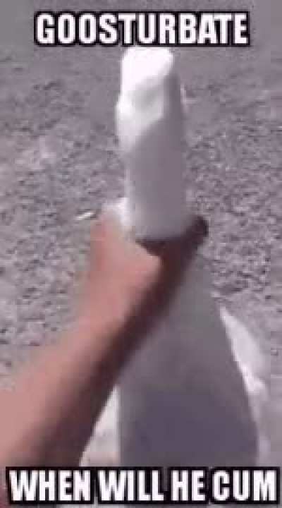 goosturbate