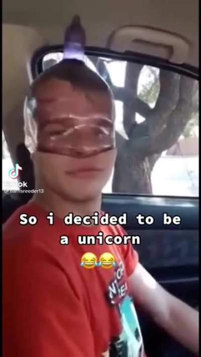 Unicorn.mp4