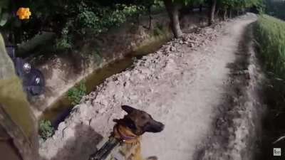 SASR vol. 1
