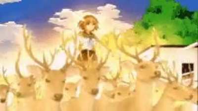🦌est of the 🦌