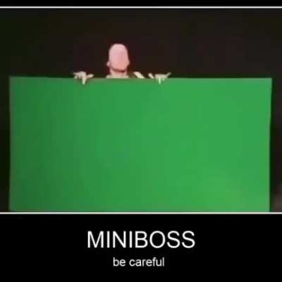 Extremity, manipulator of arms