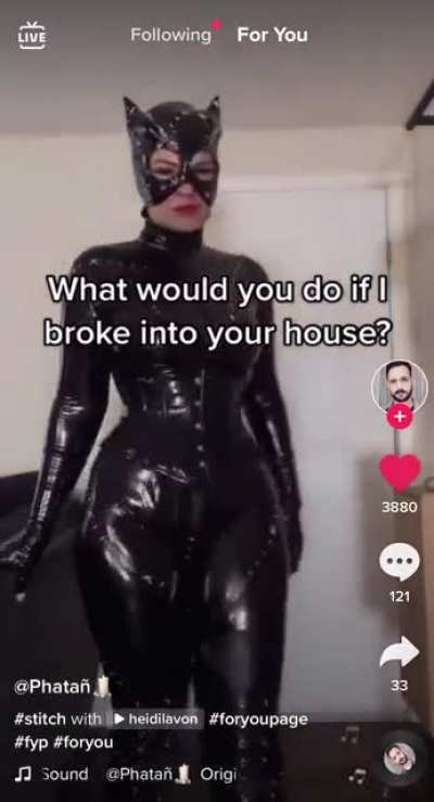 mom can we have a cat