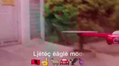 💪🏻🥶🇦🇱🇦🇱 MËRCËDIQI SHQIPTÄR