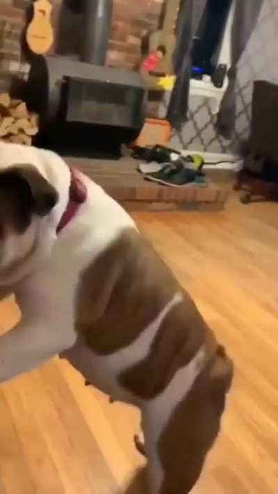 Does anyone want to learn how to twerk?