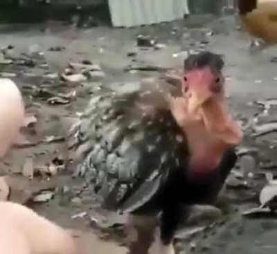 😳
