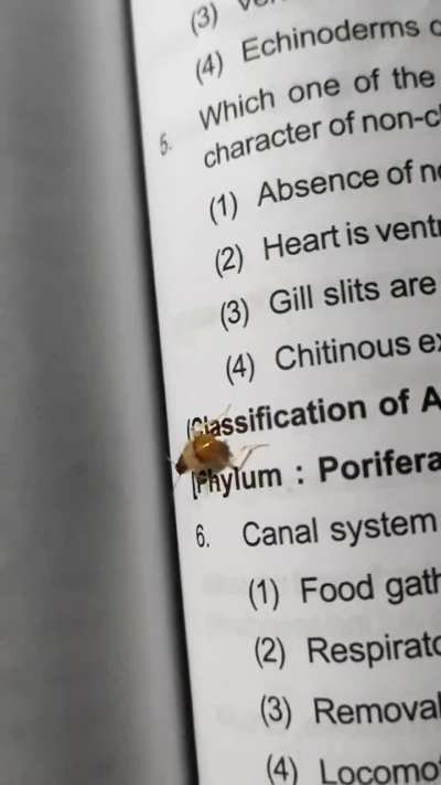 Was studying & this mf came out of nowhere when I tried to remove this shit it jumped on me 😭 fuck you cockroach