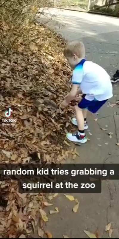 How dare you