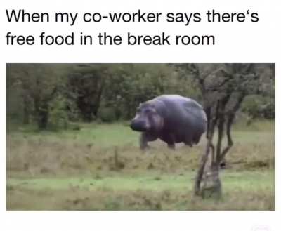 me_irl