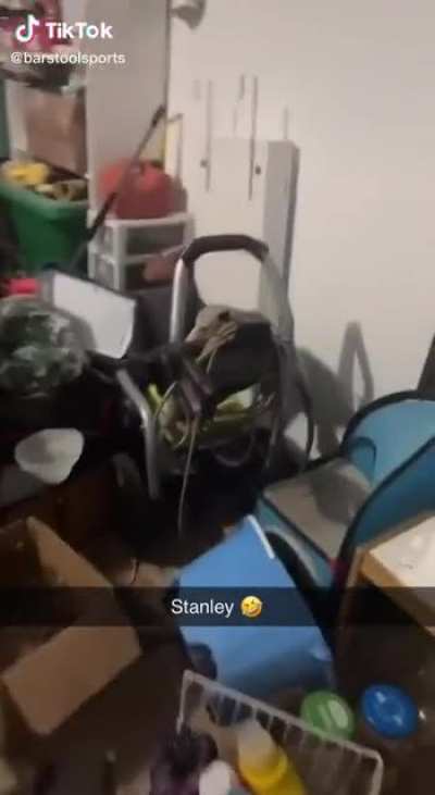 Found this gem💎 on TikTok🎶