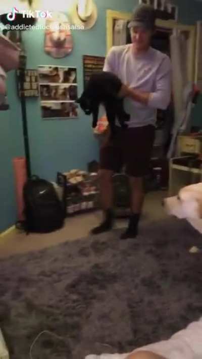 Cat scared by new rug owners bought