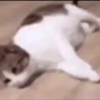 He is danc?